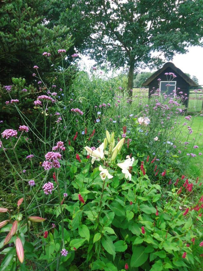 Bed and Breakfast Klein Vreugderijk Zwolle  Zewnętrze zdjęcie