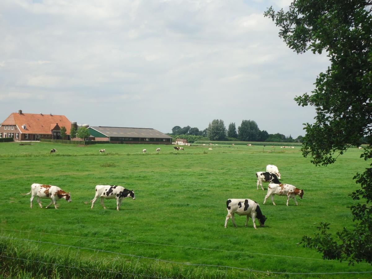 Bed and Breakfast Klein Vreugderijk Zwolle  Zewnętrze zdjęcie
