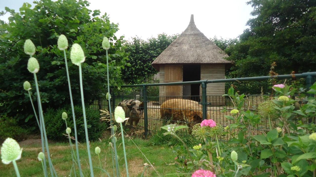 Bed and Breakfast Klein Vreugderijk Zwolle  Zewnętrze zdjęcie